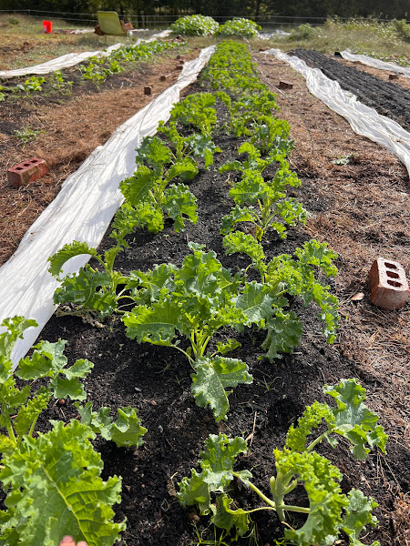 Coast to Coast Farm LLC photo 2