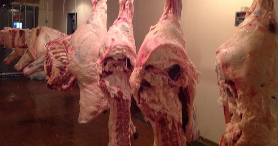 Nat Kagan Meat & Seafood / Hudson Valley Cattle Company