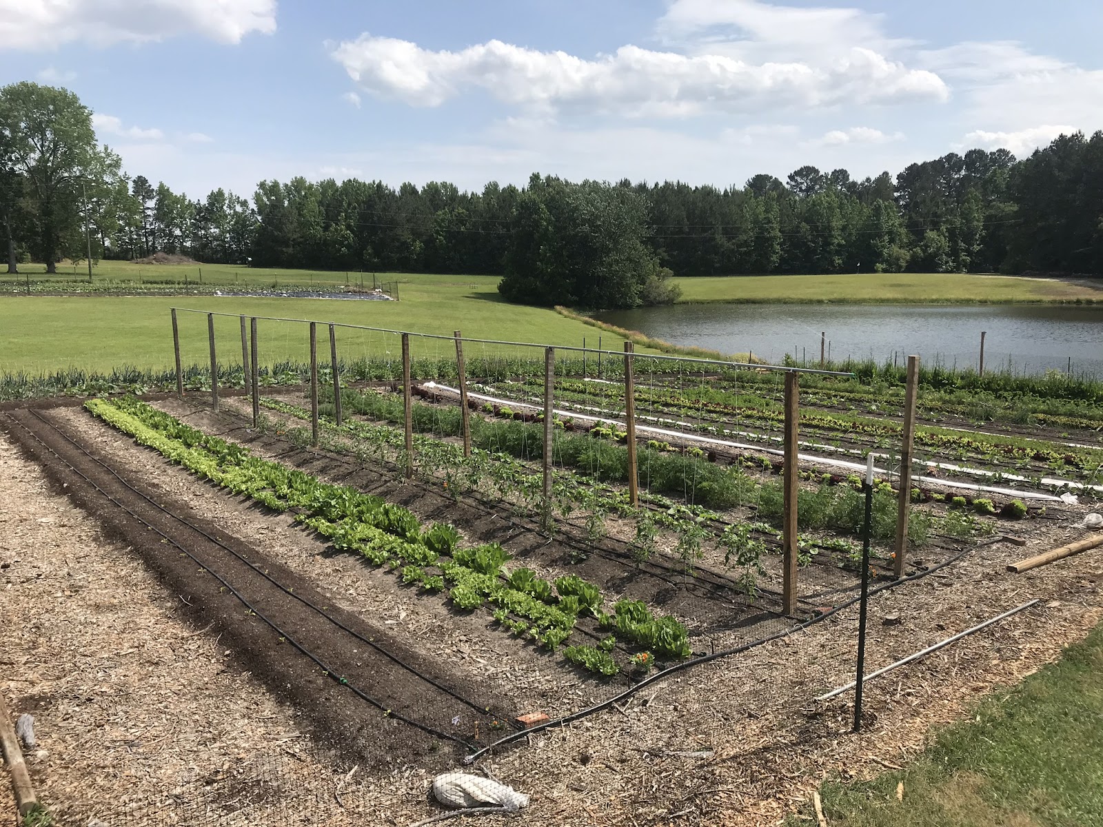 Lake Valley Farms, Inc. - Tarboro photo 2