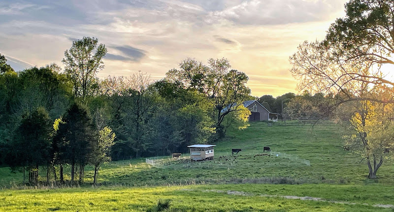 Little Way Farm photo 4