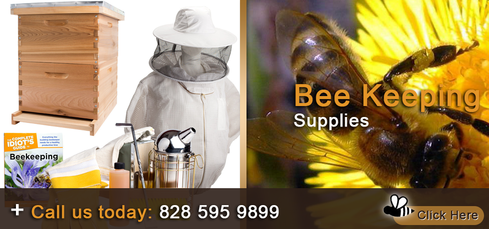 Carolina Bee Farm