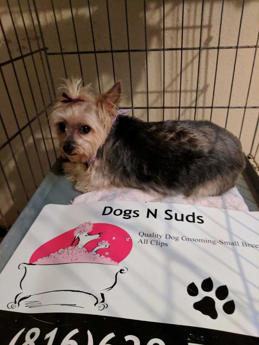 Cuds N' Suds photo 2