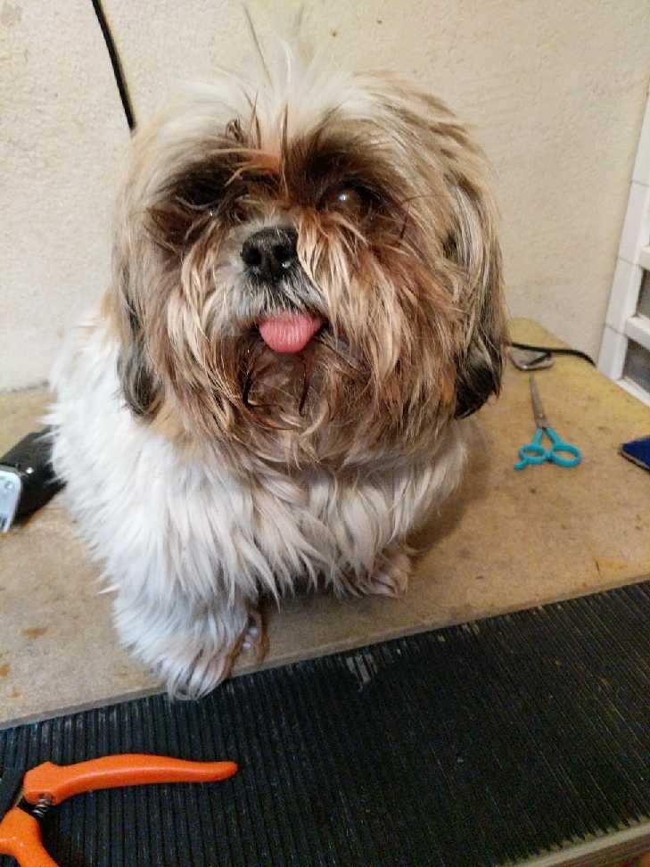 Cuds N' Suds photo 4