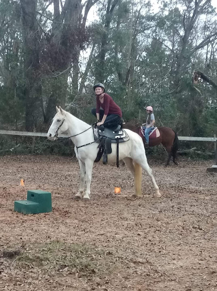 Whistlin' Dixie Farm