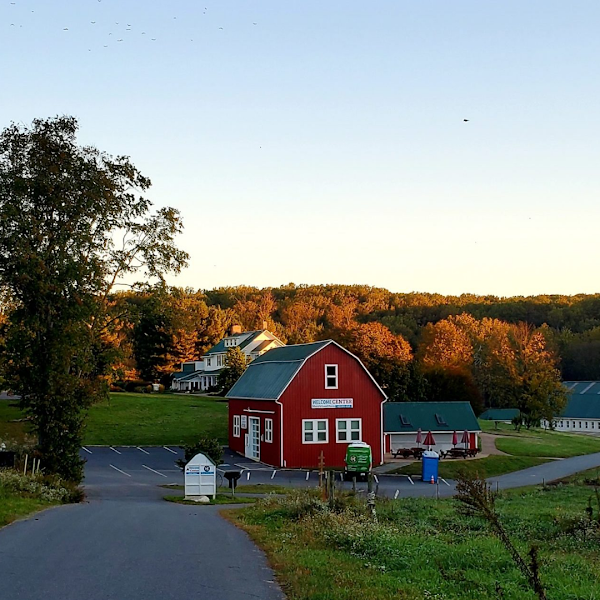Mary's Land Farm photo 16
