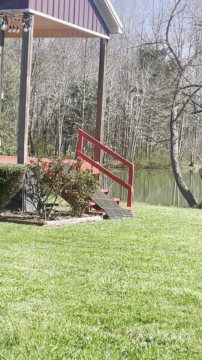 Grove Winery photo 5