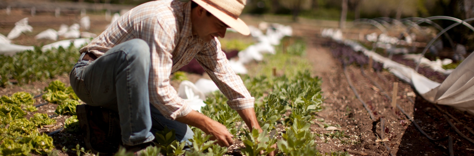 Los Poblanos Historic Inn & Organic Farm