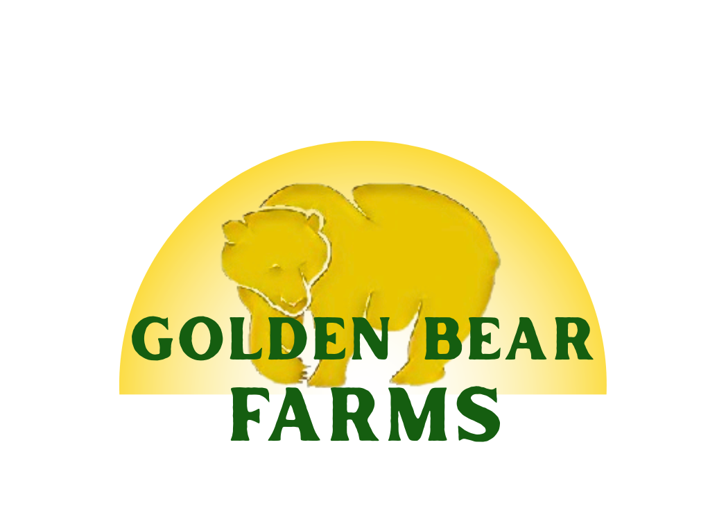 Golden Bear Farms photo 3