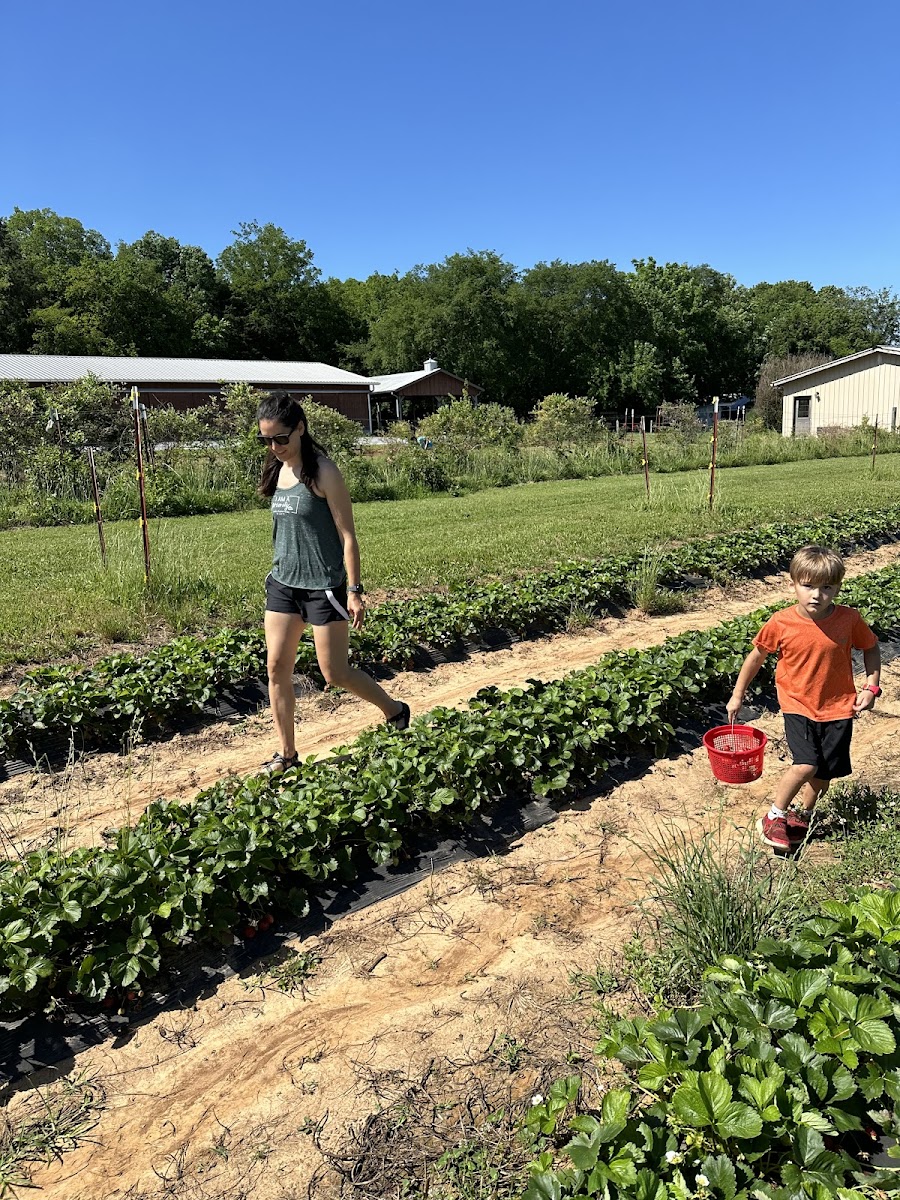 Circle S Farms photo 3