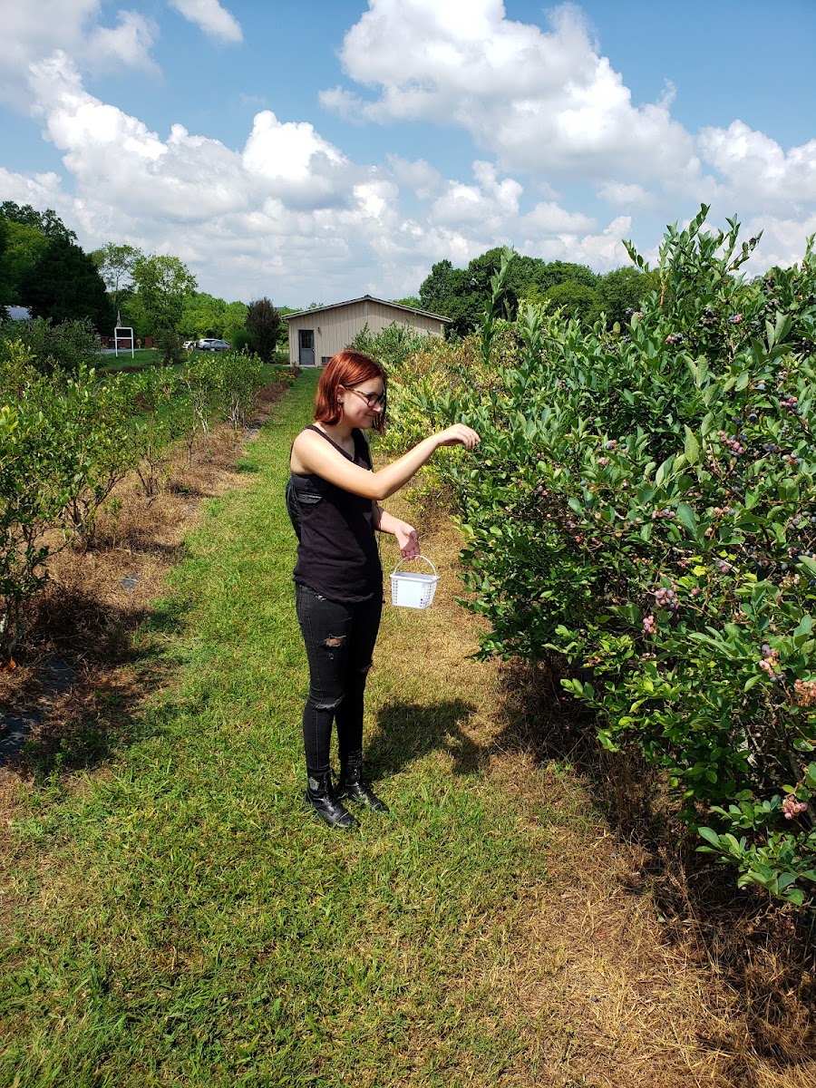 Circle S Farms photo 4