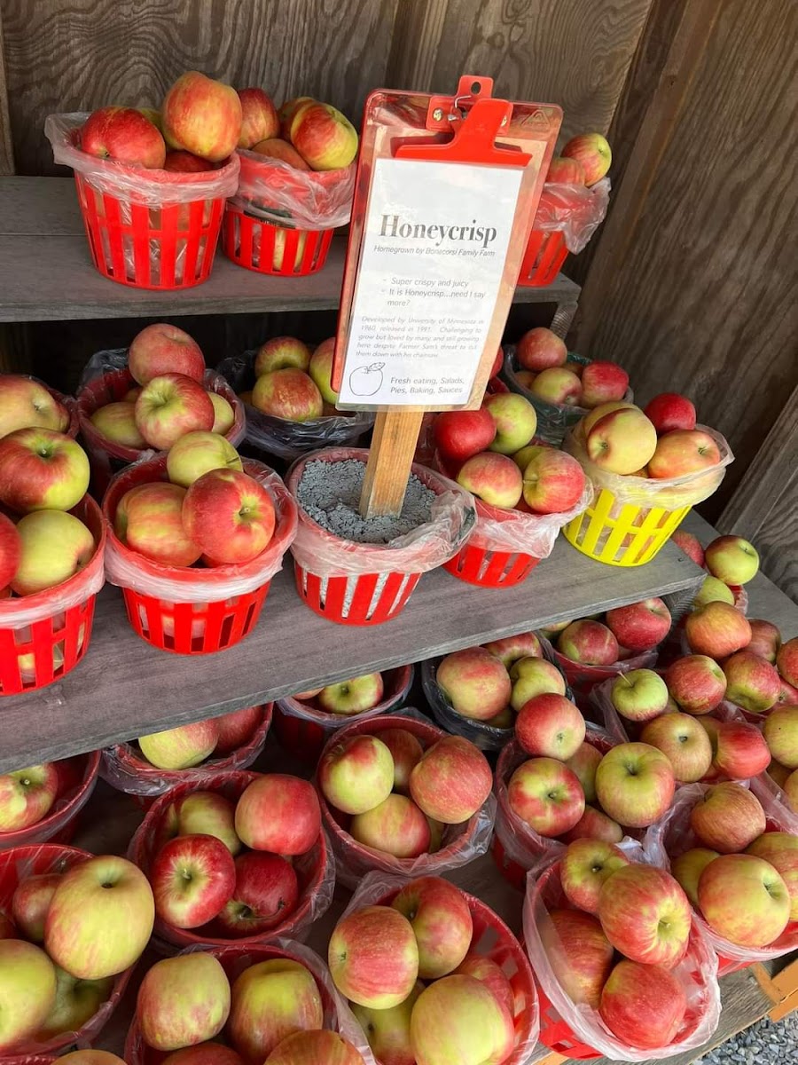 Bonacorsi Family Farm photo 4