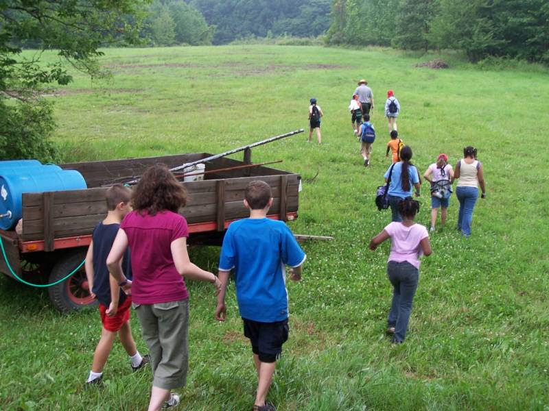 Greenfield Berry Farm photo 3