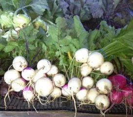 Greenfield Berry Farm photo 4