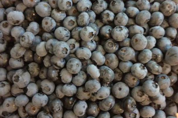 Greenfield Berry Farm photo 6