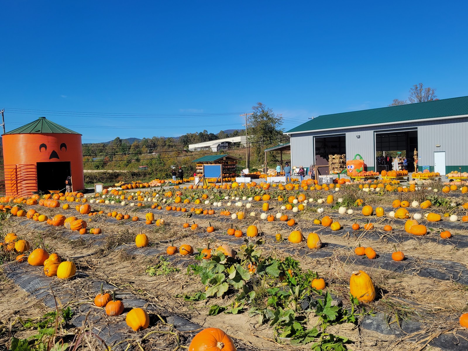 Coston Farm and Apple House photo 3