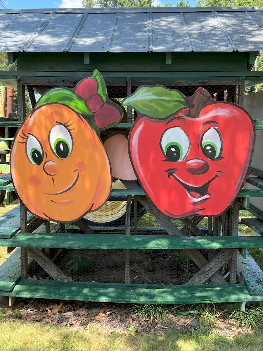 Coston Farm and Apple House photo 4