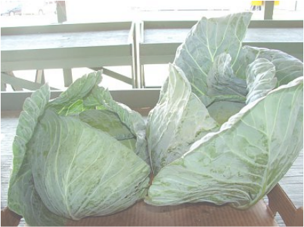 Winn Farmers' Market photo 3