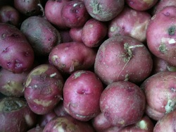 Winn Farmers' Market photo 9