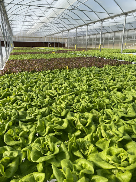 Better Day Farms photo 2