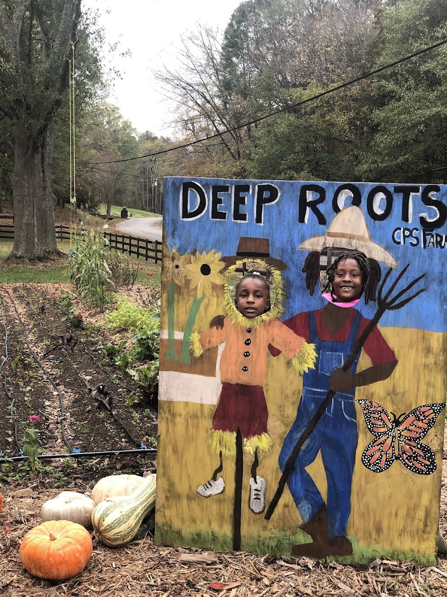 Deep Roots CPS Farm photo 2