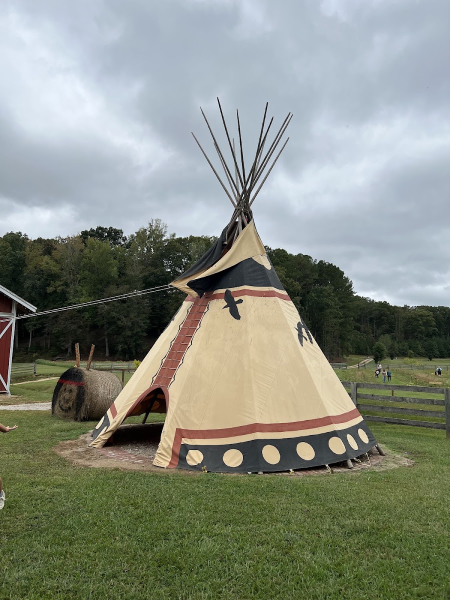 Bennett Farms photo 4