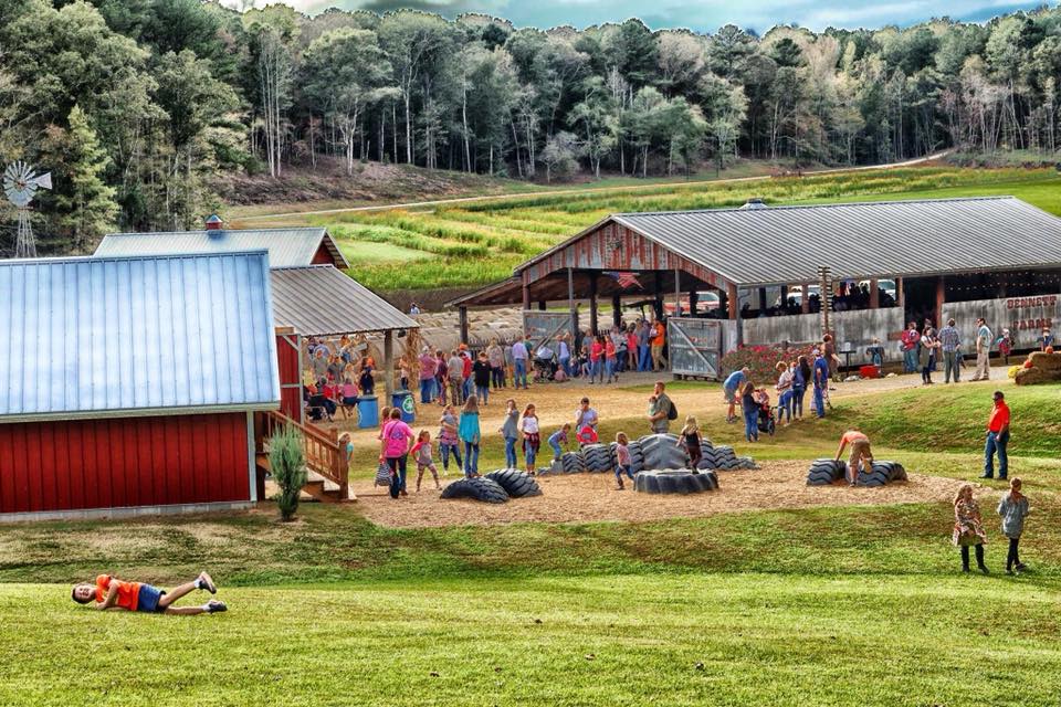 Bennett Farms photo 5