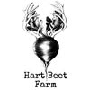 HartBeet Farm