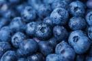 Montevallo Farmers' Market photo 28