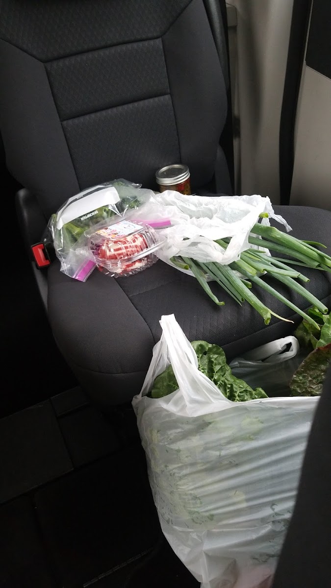 Northport Farmers' Market photo 2