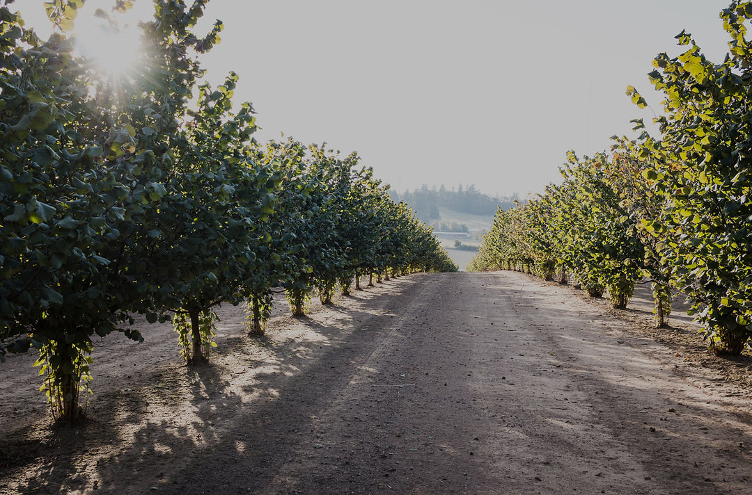 Finn's Farm, LLC photo 29