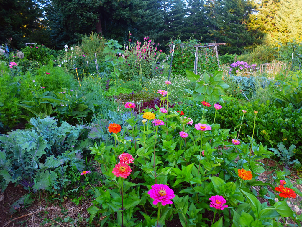 The Forest Garden photo 2