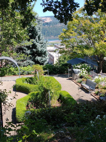 The Forest Garden