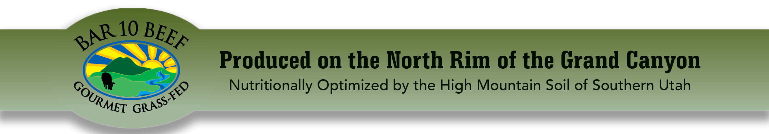 Bar 10 Beef