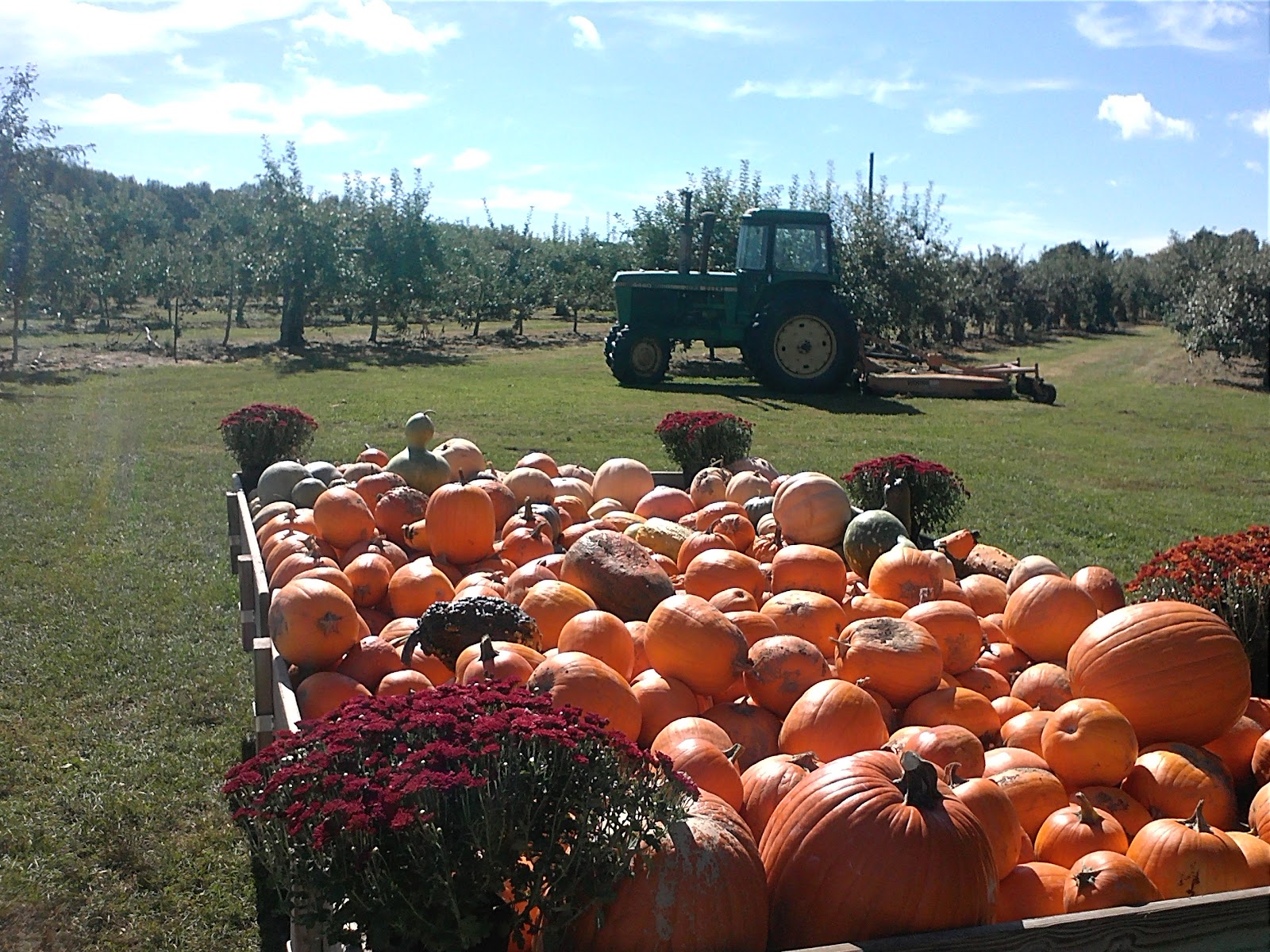 Lapsley Orchards photo 23