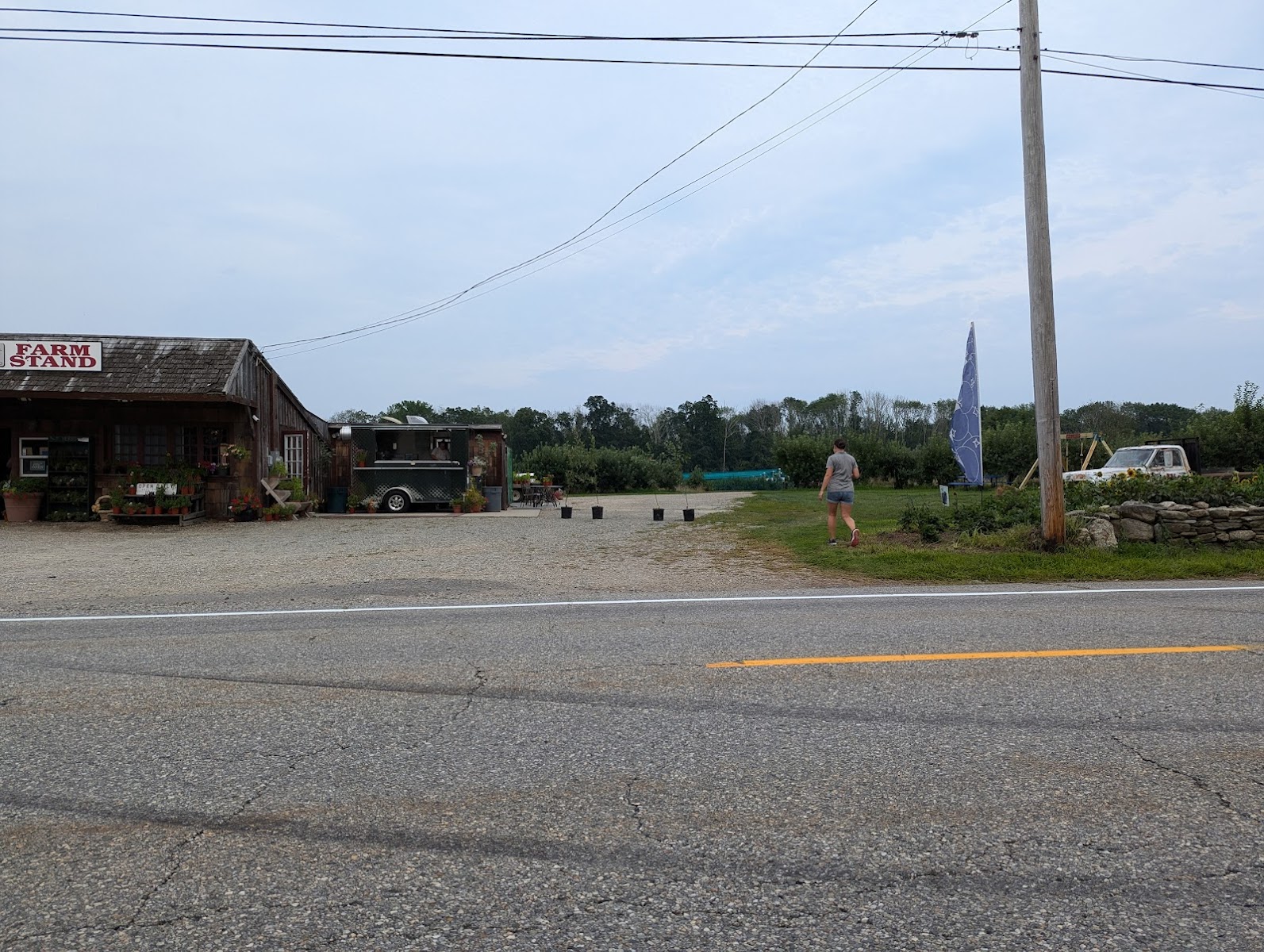 Lapsley Orchards photo 25