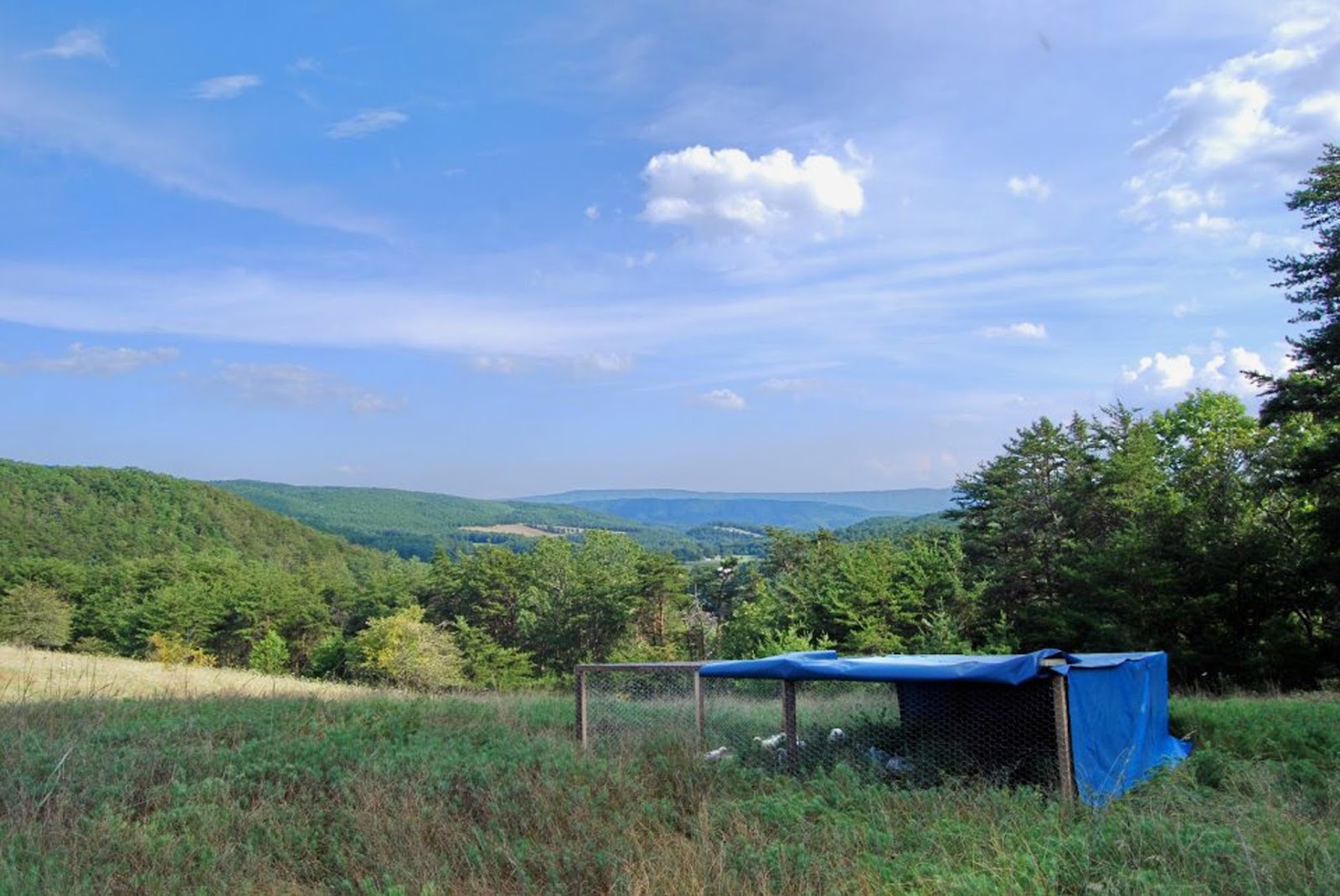 The French Family Farm photo 2