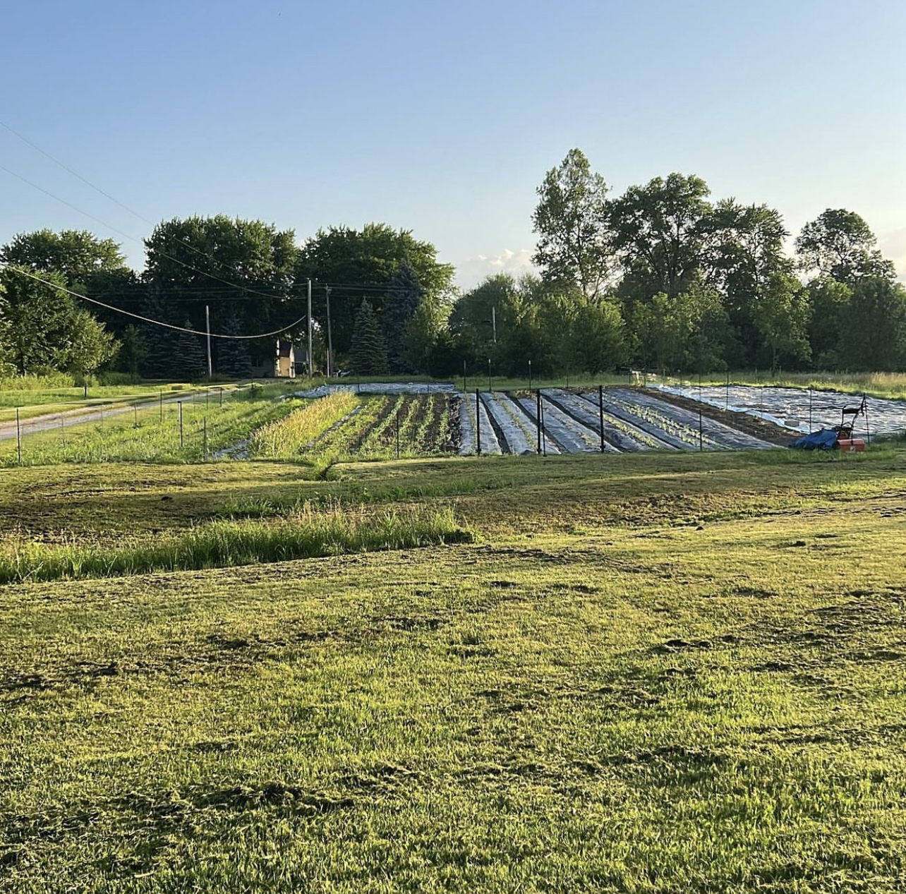 Wild Hare Natural Farm