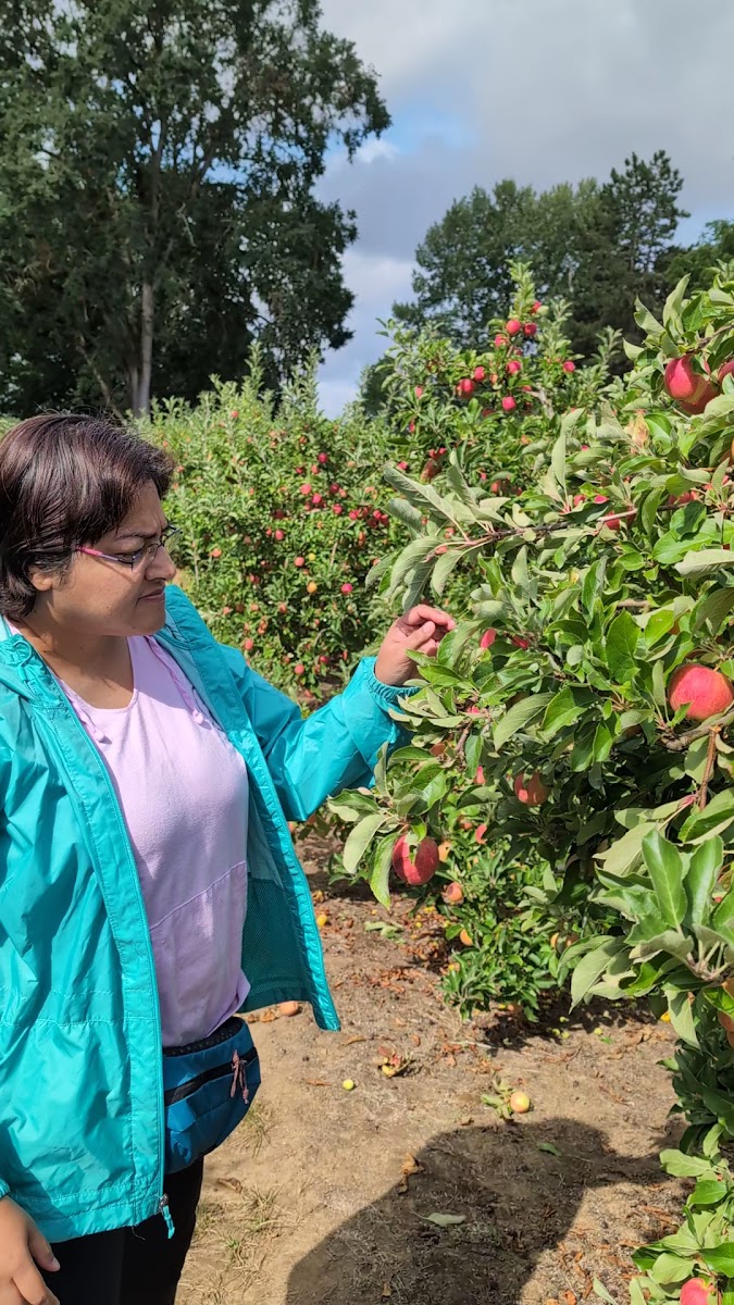 Bell's Orchard photo 24