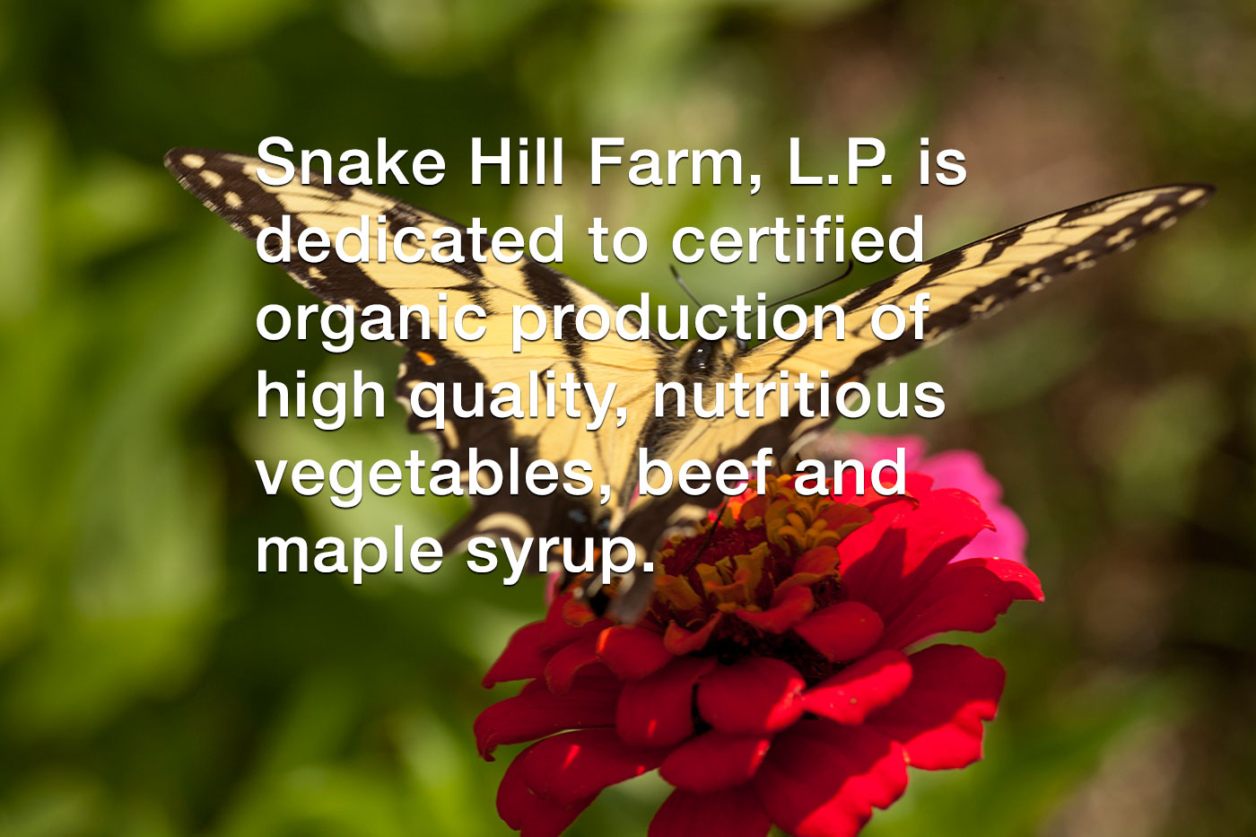 Snake Hill Farm