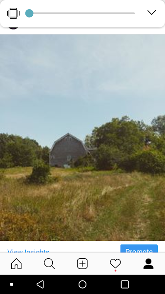Roaring Lion Farm & Market