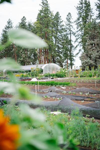 Seed to Table Oregon