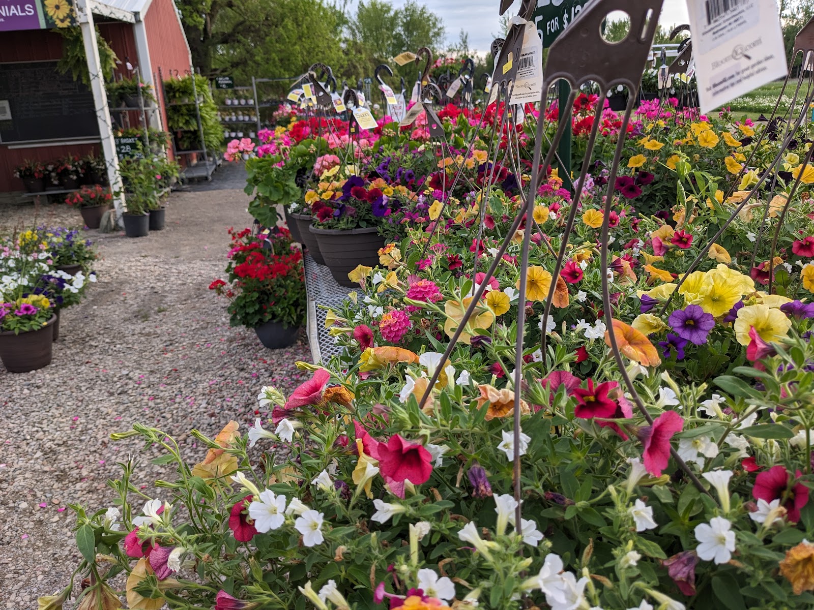 River City Farms