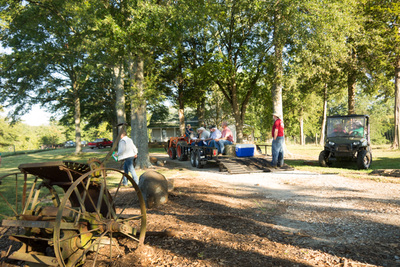 Walker Century Farms Market photo 21
