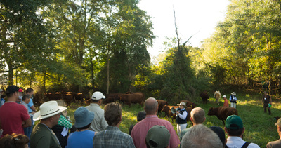 Walker Century Farms Market photo 6