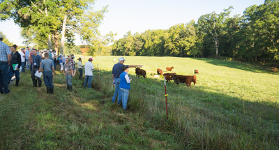 Walker Century Farms Market photo 7