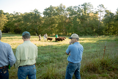 Walker Century Farms Market photo 8