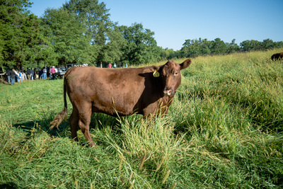 Walker Century Farms Market photo 10