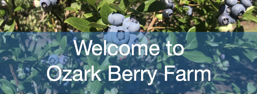 Ozark Berry Farm, LLC photo 4