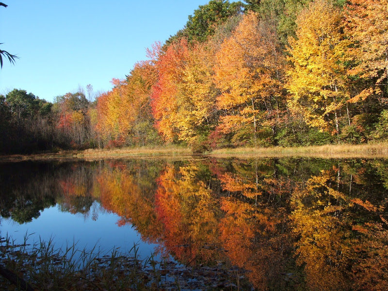 Autumn Morning Farm Beekeeping Supplies