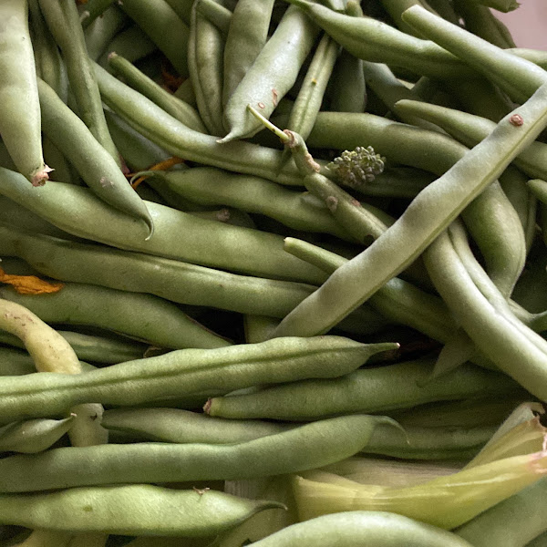 Honey Creek Farm, Springfield